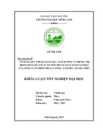 Áp dụng quy trình chăm sóc, nuôi dưỡng và phòng trị bệnh ở lợn con từ sơ sinh đến 21 ngày tuổi tại trại lợn của Công ty Cổ phần Thiên Thuận Tường  Cẩm Phả  Quảng Ninh (Khóa luận tốt nghiệp)