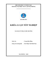 Nghiên cứu khả năng xử lý Cu2+ trong nước bằng vật liệu hấp phụ chế tạo từ lõi ngô (Khóa luận tốt nghiệp)