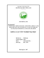 Áp dụng quy trình chăm sóc, nuôi dưỡng phòng và trị bệnh trên đàn lợn nái sinh sản và lợn con theo mẹ tại trại Đặng Đình Dũng  Lương Sơn  Hòa Bình (Khóa luận tốt nghiệp)