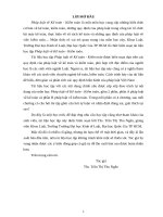 Pháp luật về kế toán kiểm toán