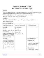 Giáo án Hóa học 8 bài 5: Nguyên tố hóa học