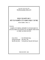 Nghiên cứu trồng, chế biến và sử dụng bột cỏ Stylosanthes guianensis CIAT 184 trong chăn nuôi gà thịt tại Thái Nguyên (NCKH)