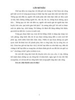 Tiểu luận cao học thể loại báo chí điều tra