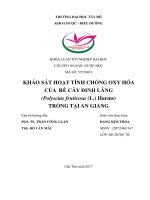 KHẢO SÁT HOẠT TÍNH CHỐNG OXY HÓA CỦA RỄ CÂY ĐINH LĂNG TRỒNG TẠI AN GIANG