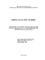ẢNH HƯỞNG CỦA THUỐC TRỪ SÂU (DIAZAN 10H) LÊN SỨC ĐỀ KHÁNG CỦA CÁ RÔ PHI ĐỎ ĐỐI VỚI STREPTOCOCCUS AGALACTIAE