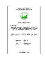 Thực hiện quy trình chăm sóc nuôi dưỡng và phòng trị bệnh cho lợn nái sinh sản tại trại chăn nuôi Bình Minh  Mỹ Đức  Hà Nội (Khóa luận tốt nghiệp)