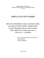 ĐIỀU TRA TÌNH HÌNH GÂY HẠI VÀ ĐÁNH GIÁ HIỆU QUẢ MỘT SỐ THUỐC PHÒNG TRỊ BỆNH MỐC SƯƠNG (Phytophthora infestans (Mont.) de Bary) TRÊN KHOAI TÂY (Solanum tuberosum L.) TẠI ĐÀ LẠT – LÂM ĐỒNG