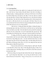 skkn nâng cao hiệu quả dạy  học môn hóa học lớp 11 bằng việc giải thích các hiện tượng thực tiễn có liên quan đến bài học 