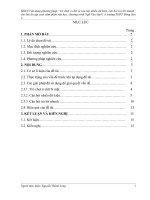 SKKN vận dụng phương pháp trò chơi ô chữ và câu hỏi nhiều dữ kiện, câu hỏi trả lời nhanh cho bài ôn tập cuối năm phần văn học, chương trình ngữ văn lớp 11 ở trường THPT đông sơn 2 