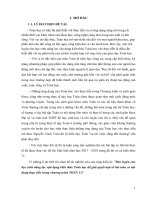 SKKN rèn luyện cho học sinh năng lực vận dụng kiến thức toán học để giải quyết một số bài toán có nội dung thực tiễn trong chương trình TOÁN 11 