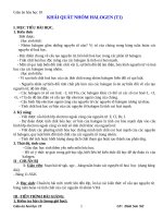 Giáo án Hóa học 10 bài 21: Khái quát về nhóm Halogen