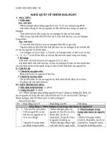 Giáo án Hóa học 10 bài 21: Khái quát về nhóm Halogen