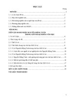 SKKN tiếp cận danh nhân nguyễn mộng tuân trong giờ ngoại khóa văn học 