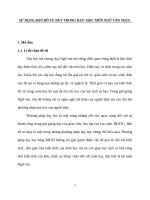 skkn n ÂNG CAO CHẤT LƯỢNG m ôn NGỮ văn BẰNG PHƯƠNG PHÁP sử DỤNG bản đồ tư DUY TRONG dạy học 