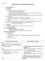 Giáo án Hóa học 10 bài 21: Khái quát về nhóm Halogen