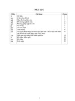 skkn một số giải pháp nâng cao hiệu quả giờ đọc hiểu ngữ văn theo chủ đề truyện ngắn lãng mạn việt nam   ngữ văn 11 