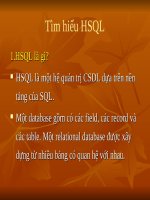 Tìm hiểu hệ quản trị cơ sở dữ liệu