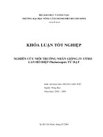 NGHIÊN CỨU MÔI TRƯỜNG NHÂN GIỐNG IN VITRO LAN HỒ ĐIỆP Phalaenopsis TỪ HẠT