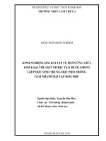skkn kinh nghiệm giải bài tập về phản ứng giữa kim loại với axit nitric tạo muối amoni giúp học sinh THPT giải nhanh bài tập hóa học  