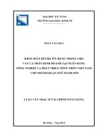 Kiểm soát rủi ro tín dụng trong cho vay cá nhân kinh doanh tại ngân hàng nông nghiệp và phát triển nông thôn việt nam   chi nhánh quận ngũ hành sơn