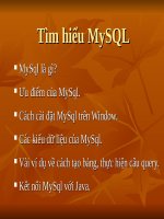 Tìm hiểu hệ quản trị cơ sở dữ liệu MySQL
