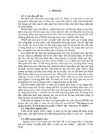 skkn xây dựng và sử dụng câu hỏi cốt lõi để dạy phần vi sinh vật sinh học 10 