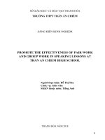 skkn promote the effectiveness of pair work and group work in speaking lessons at tran an chiem high school 