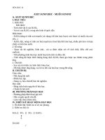 Giáo án Hóa học 10 bài 33: Axit sunfuric và Muối Sunfat