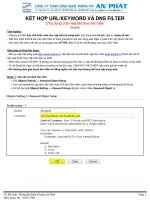 Vigor2860 2912 2925 URL keyword DNS filter