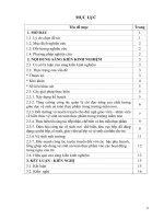 skkn một số biện pháp chỉ đạo đảm bảo vệ sịnh an toàn thực phẩm trong trường mầm non 