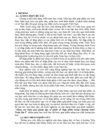 skkn nâng cao hiệu quả giảng dạy về phần số thập phân trong chương trình toán lớp 5 