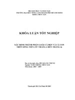 XÁC ĐỊNH THÀNH PHẦN LOÀI CÁ BỘT VÀ CÁ CON TRÊN SÔNG TIỀN (TỪ THÁNG 4 ĐẾN THÁNG 6)