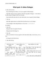 Giáo án Hóa học 10 bài 21: Khái quát về nhóm Halogen
