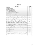 skkn một số biện pháp nâng cao hiệu quả hoạt động hướng nghiệp cho học sinh trong lớp chủ nhiệm 