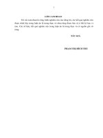 Luận án Hoàn thiện kiểm soát nội bộ tại các doanh nghiệp sản xuất bia  rượu  nước giải khát của Việt Nam