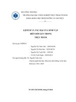 LỢI ÍCH VÀ TÁC HẠI CỦA SINH VẬT BIẾN ĐỔI GEN TRONG THỰC PHẨM