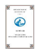 Bài tiểu luận luật lao động đề tài lao động là người giúp việc gia đình