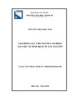 Tạo động lực cho người lao động tại viện vệ sinh dịch tễ tây nguyên