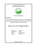 Áp dụng biện pháp phòng, chẩn đoán và điều trị bệnh ở đàn lợn nái ngoại sinh sản tại trại Bảy Tuân, xã Tiên Phương  huyện Chương Mỹ  Hà Nội (Khóa luận tốt nghiệp)