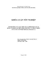 ẢNH HƯỞNG CỦA GIÁ THỂ VỎ CÀ PHÊ ĐƯỢC XỬ LÝ BẰNG VI SINH VẬT ĐẾN SINH TRƯỞNG VÀ PHÁT TRIỂN CỦA CÂY CẢI NGỌT (Brassica chinensis L.)