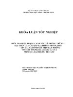 ĐIỀU TRA HIỆN TRẠNG CANH TÁC VÀ PHÒNG TRỪ SÂU HẠI TRÊN CÂY CẢI BẮP TẠI THÀNH PHỐ PLEIKU  GIA LAI VÀ ĐÁNH GIÁ HIỆU LỰC PHÒNG TRỪ SÂU TƠ (Plutella xylostella L.) CỦA MỘT SỐ LOẠI THUỐC TRỪ SÂU
