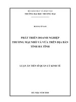Phát triển doanh nghiệp thương mại nhỏ và vừa trên địa bàn tỉnh Hà Tĩnh (LA tiến sĩ)