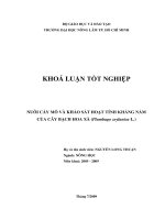 NUÔI CẤY MÔ VÀ KHẢO SÁT HOẠT TÍNH KHÁNG NẤM CỦA CÂY BẠCH HOA XÀ (Plumbago zeylanica L.)