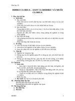 Giáo án Hóa học 10 bài 23: Hiđro clorua  Axit clohiđric và Muối clorua