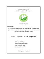 Áp dụng quy trình chăm sóc, nuôi dưỡng và phòng trị bệnh cho đàn lợn nái sinh sản tại trại lợn ngô hồng gấm   huyện lương sơn   tỉnh hòa bình 