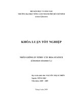 NHÂN GIỐNG IN VITRO CÂY HOA STATICE (Limonium sinuatum L.)