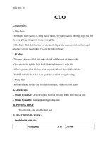 Giáo án Hóa học 10 bài 22: Clo