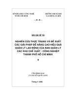 nghiên cứu thực trạng và đề xuất các giải pháp để nâng cao hiệu quả quản lý lao động của ban quản lý các khu chế xuất   công nghiệp thành phố hồ chí minh  