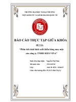 Thực tập giữa khóa: Phân tích tình hình XNK của công ty TNHH May SEES VINA Hải Dương