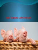 Bài giảng thức ăn chăn nuôi cho gia súc, gia cầm